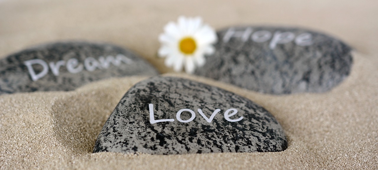 The Intricate Relationship between Emotion and Consciousness